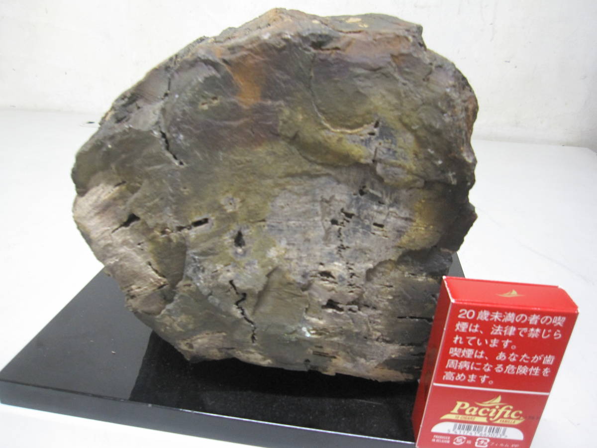 木化石 珪化木 約17㎏ 鑑賞石 観賞石 骨董品 美術品 鑑賞