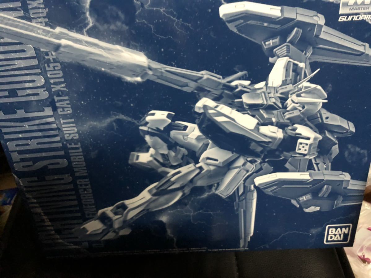 高品質，人気 プレバン限定 MG1/100 ライトニングストライクガンダム(ガンダム)｜売買されたオークション情報、yahooの商品情報をアーカイブ公開 - オークファン その他