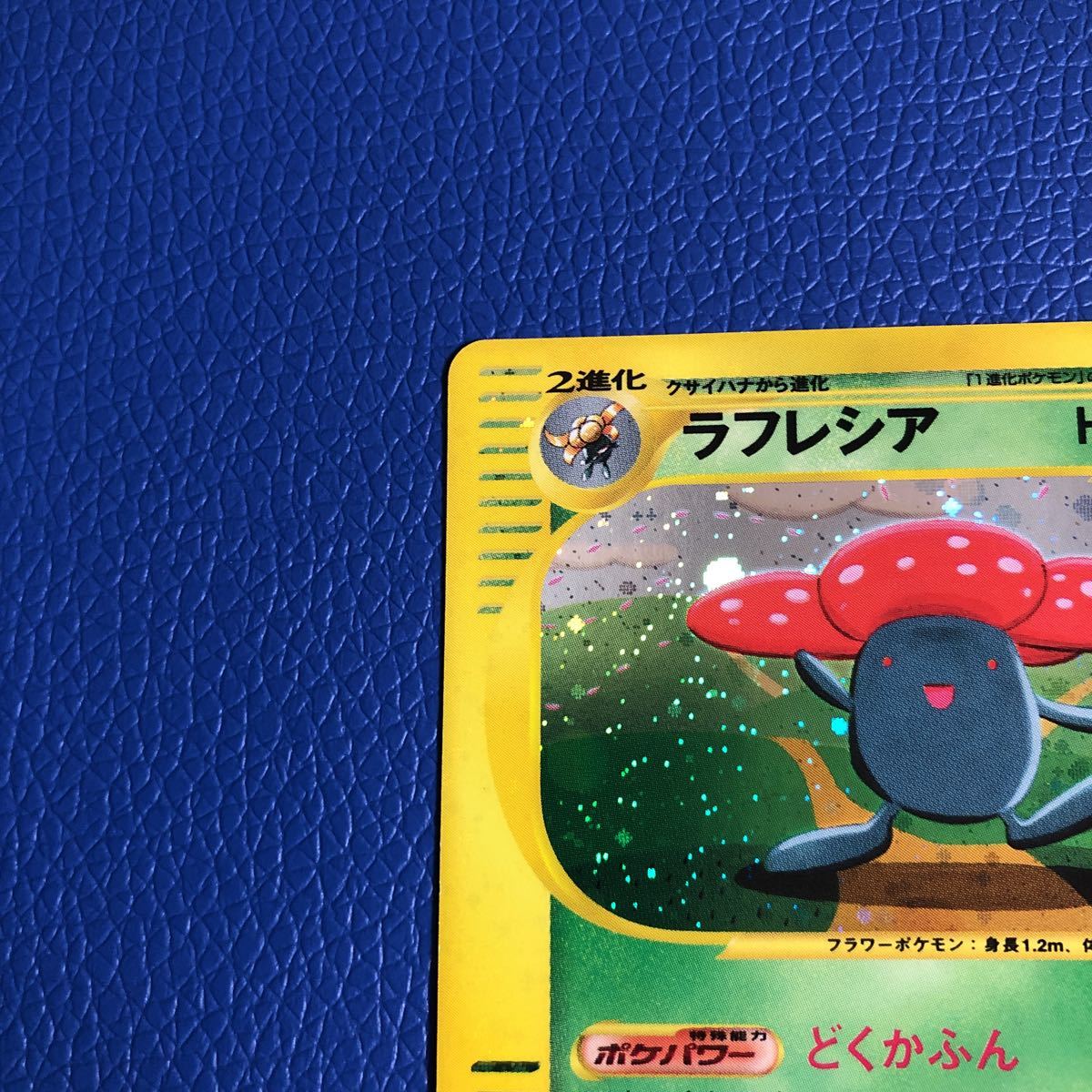 ラフレシア ★ 1ed ポケモン　カードe 第1弾 基本拡張パック キラ ラフレシア ポケモンカード e 第1弾 基本拡張パック 1EDITION キラ 新