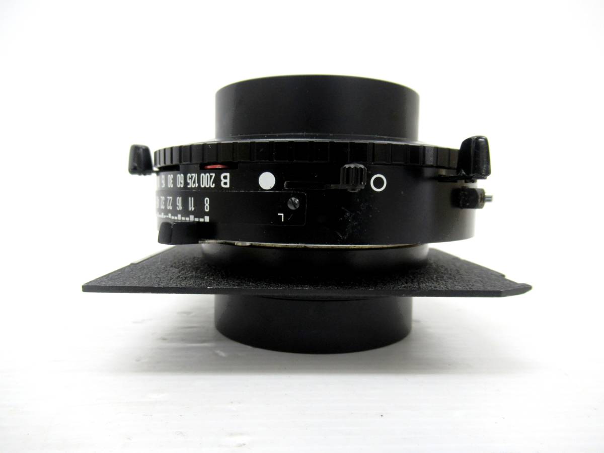 Red FMS &frasl; PNP Dago Mustang P-51D 1100mm | Aviation V2 Model P-51 RC 超美品 Papadopoulos