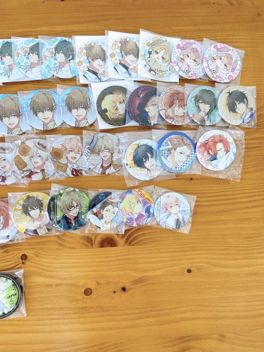 ツキウタ ツキプロ 駆 始 恋 春 新 葵 涙 海 陽 夜 郁 隼 缶バッジ