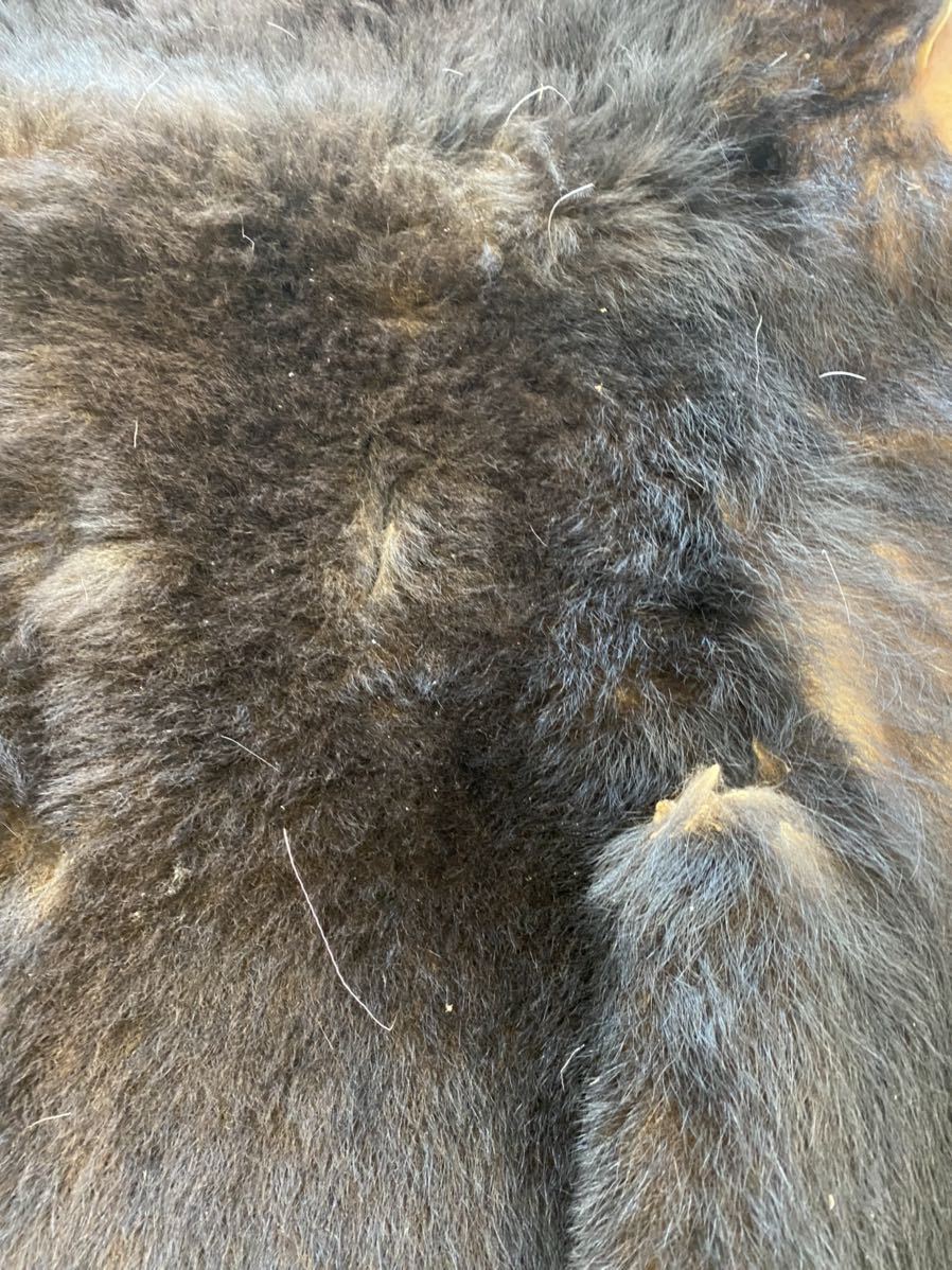 敷物 熊 ラグ 剥製 ラグマット 北海道 熊の毛皮（ヒグマ すべて爪あり