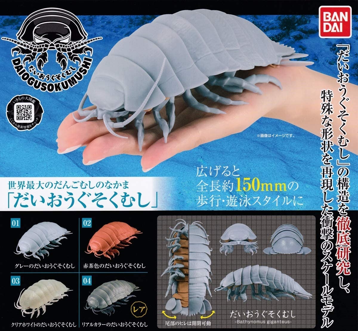 いきもの大図鑑 だいおうぐそくむし 4個 セット だいおうぐそくむし 赤 