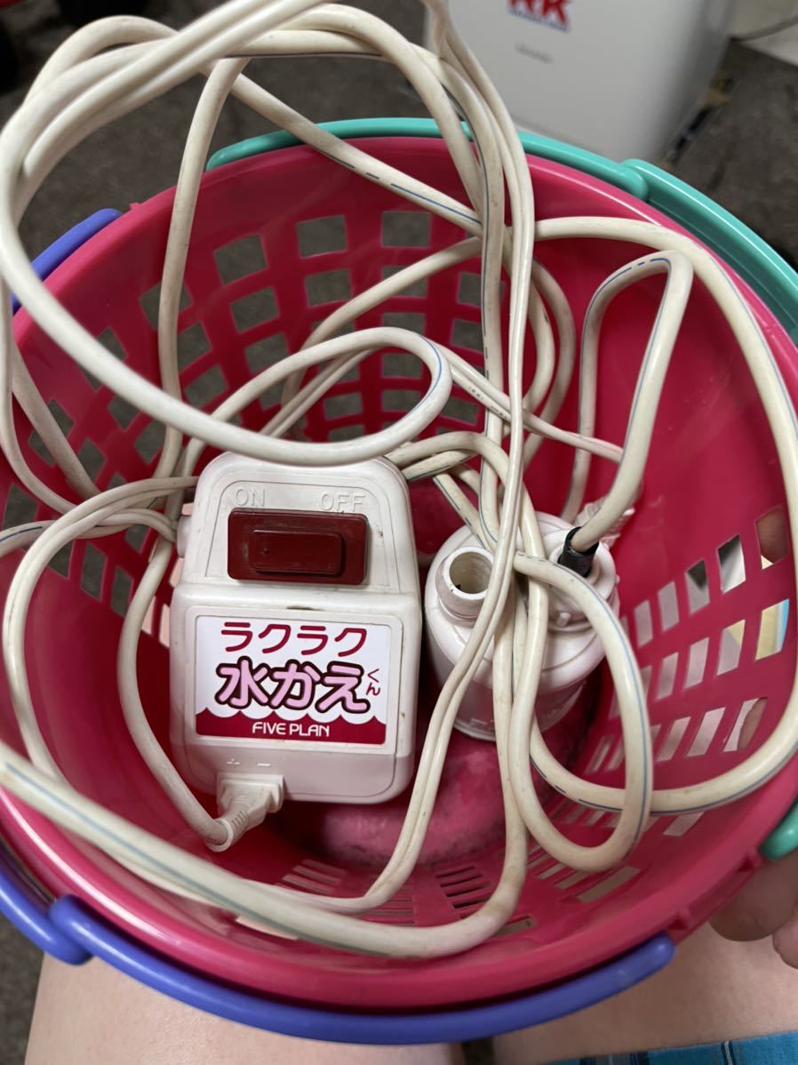 引き取り限定！ディスカス、プレコ、ガージナルテトラ、ニッソー角曲げ 