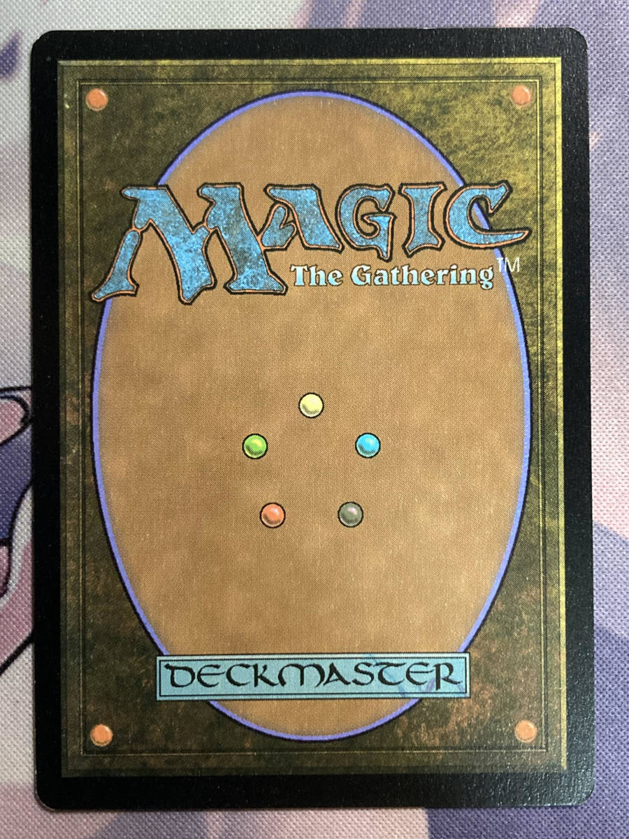 MTG 《霧深い雨林/Misty Rainforest》【foil】 ZNE 英語 霧深い雨林 4