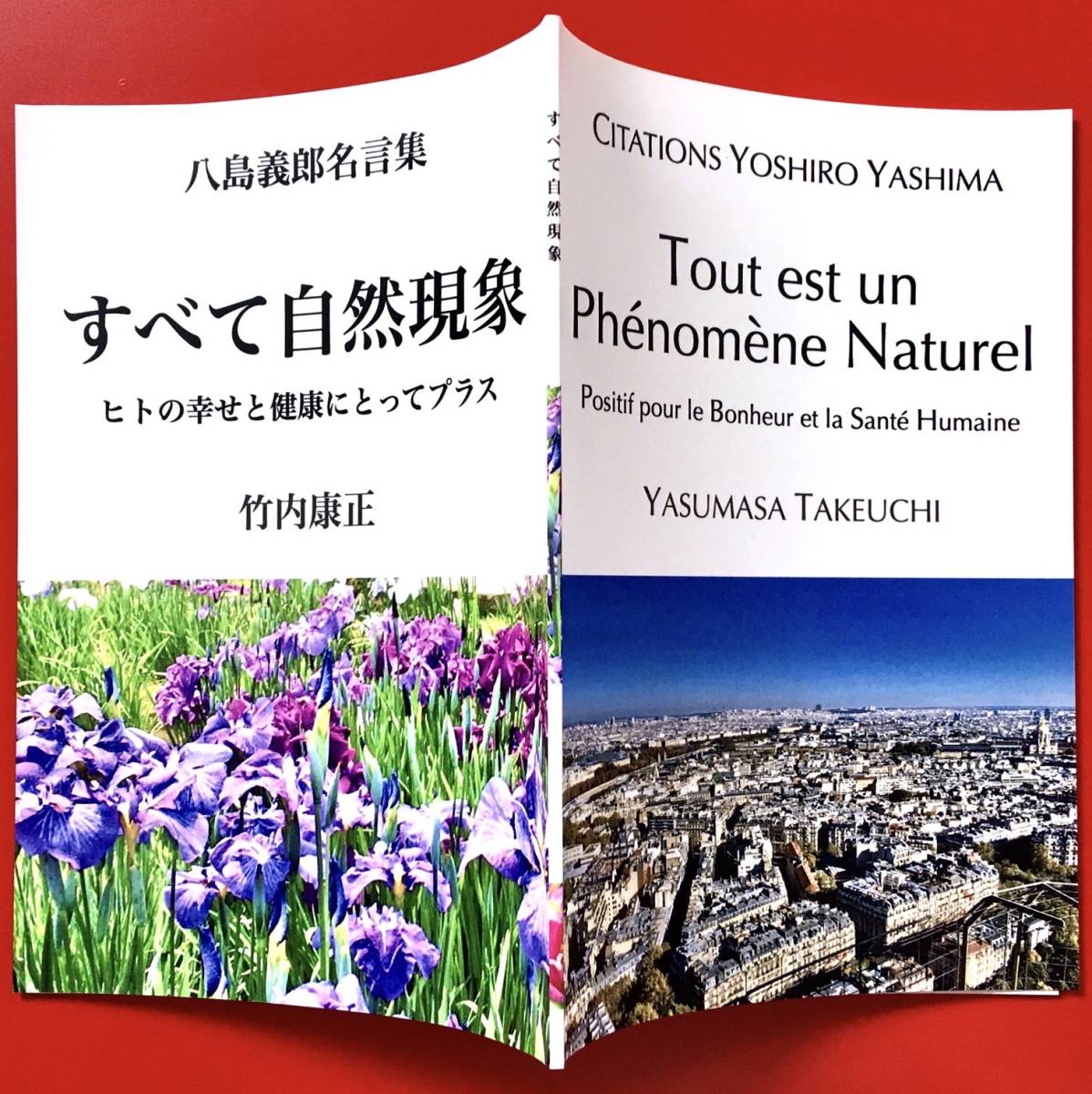  すべて自然現象 八島義郎 名言集 竹内康正(生物学)｜売買されたオークション情報、yahooの商品情報をアーカイブ公開 - オークファン 生物学