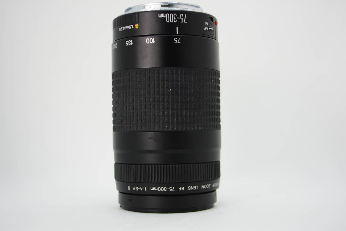 フード付き/キヤノン/Canon 75-300mm 1:4-5.6 II ☆並品☆CANON キヤノン EF 75-300mm F4-5.6 II ＃976