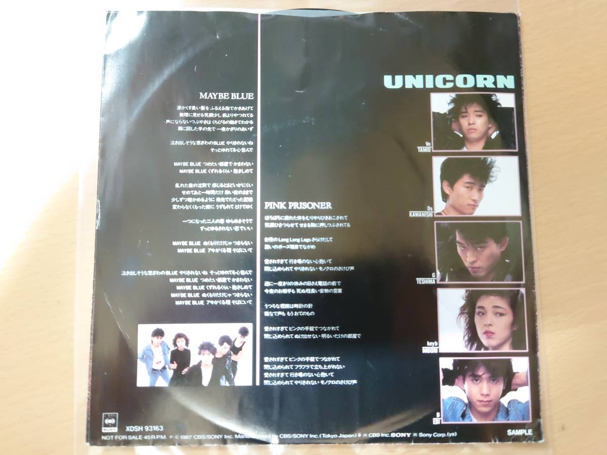 レコード （7）ユニコーン／Maybe Blue プロモ盤／奥田民生