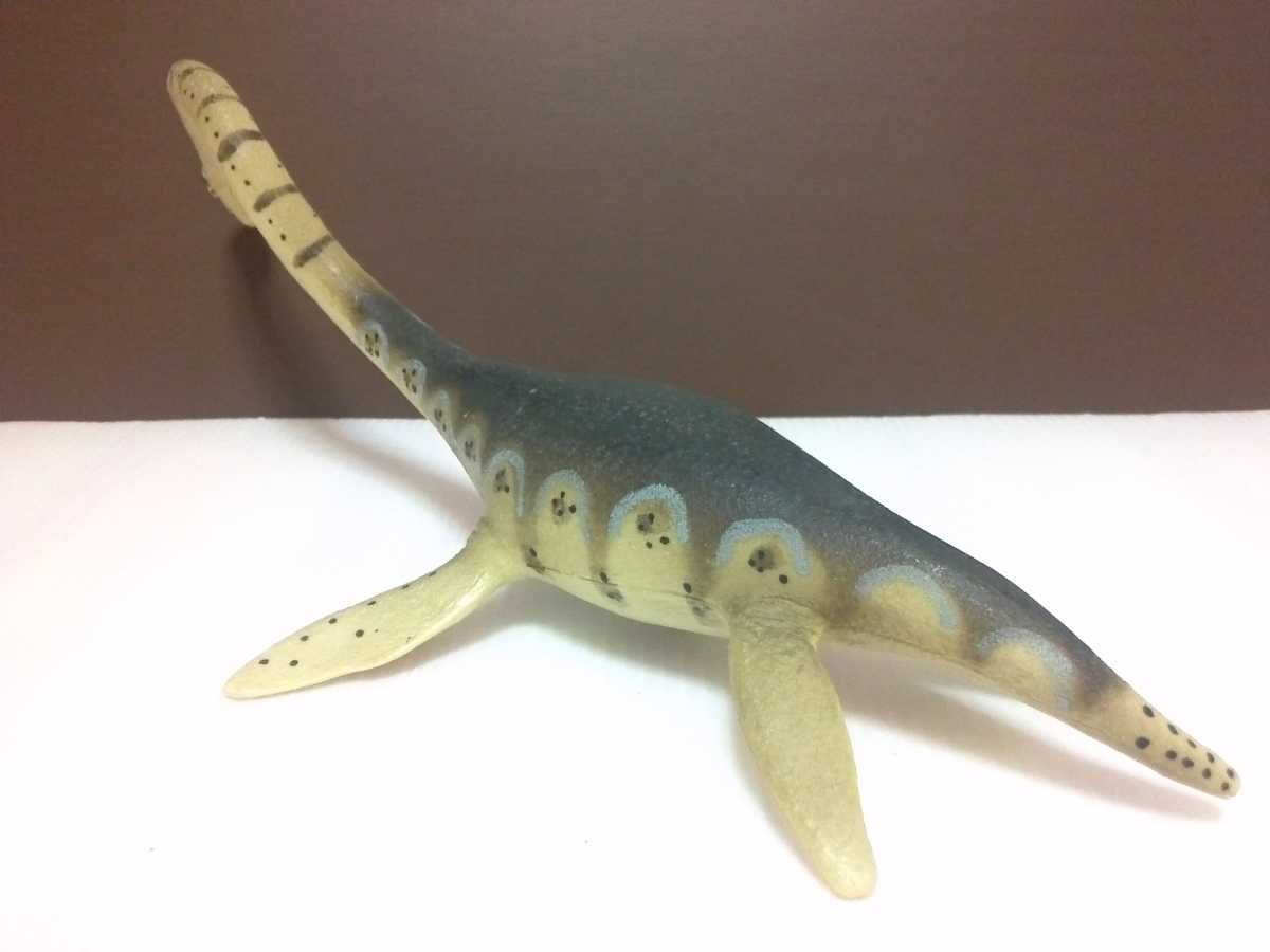 エラスモサウルス elasmosaurus』サファリ社 カーネギー・コレクション