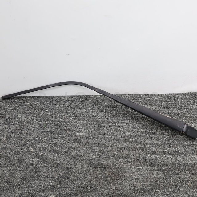 g1074919175.3