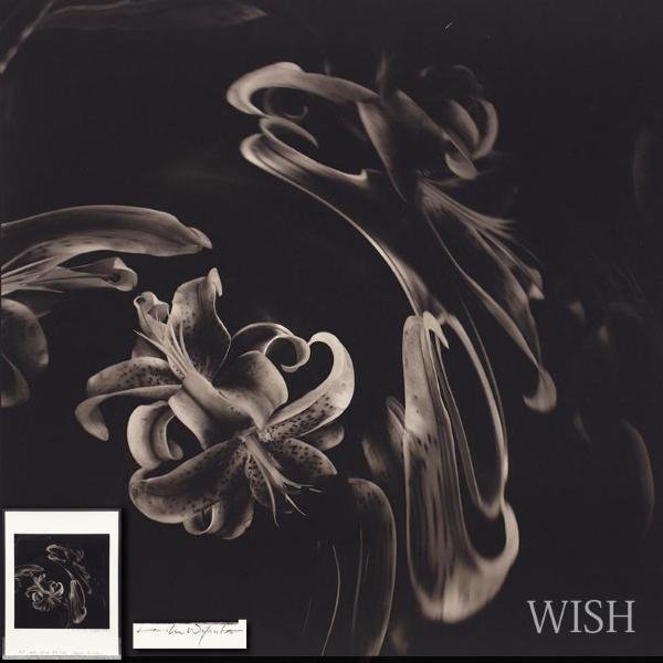 大得価，品質保証 WISH サイン有 シルクスクリーン 1990年作 直筆サイン 百合花 #22082126(シルクスクリーン)｜売買されたオークション情報、yahooの商品情報をアーカイブ公開 - オークファン シルクスクリーン
