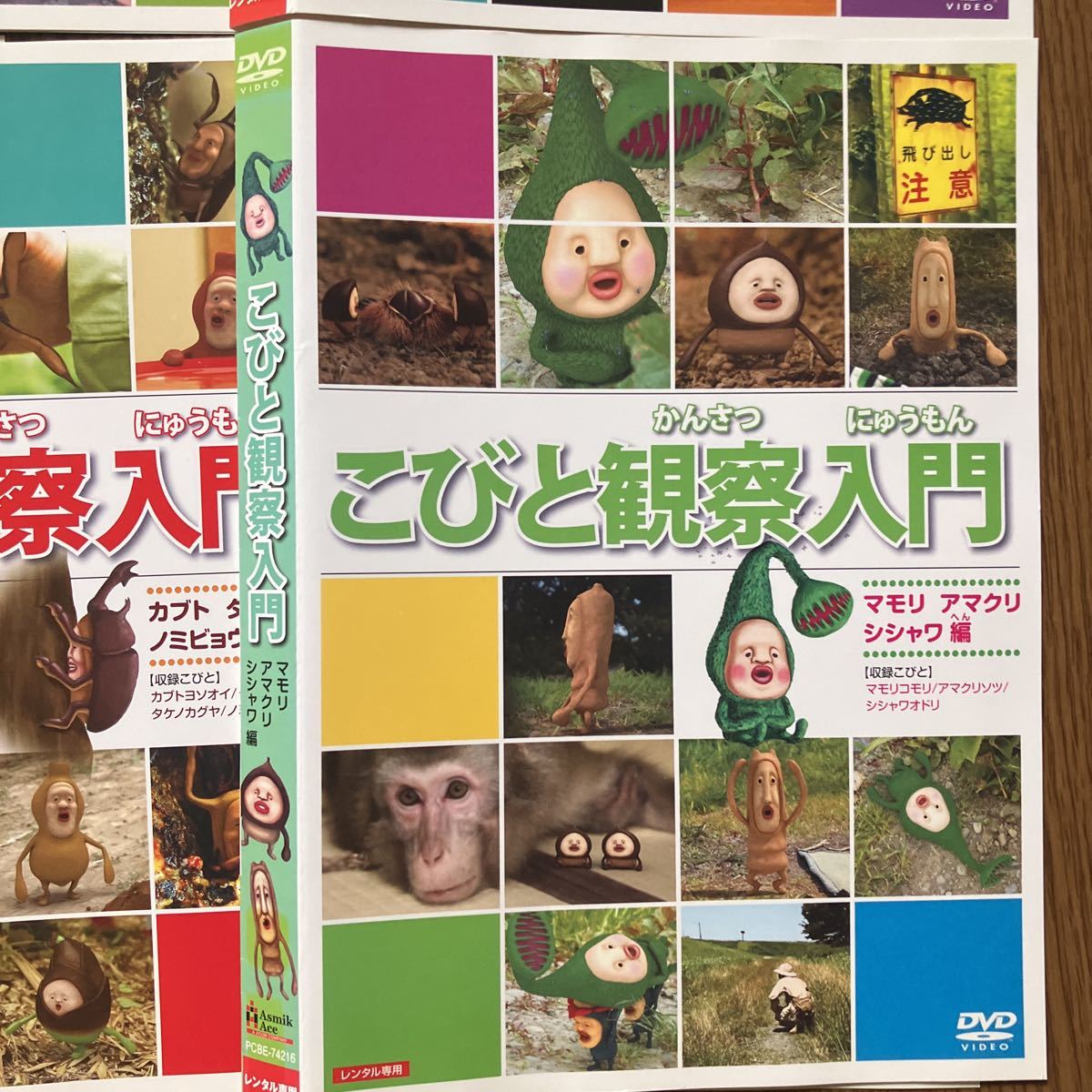 こびと観察入門」5巻セット レンタルDVD こびと観察入門 DVD 5枚 