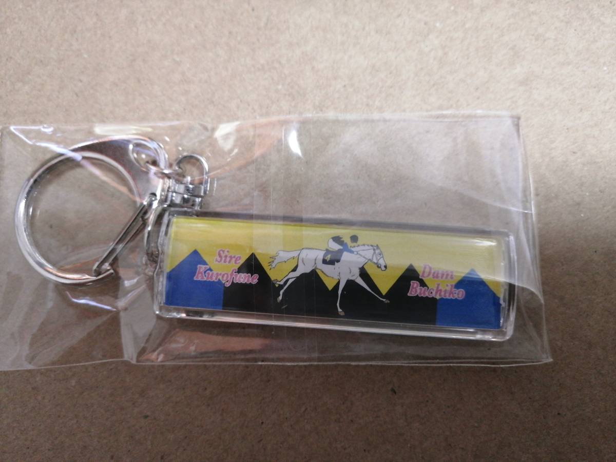 JRA キーホルダー JRA全場コンプリートセット ご当地アクリル