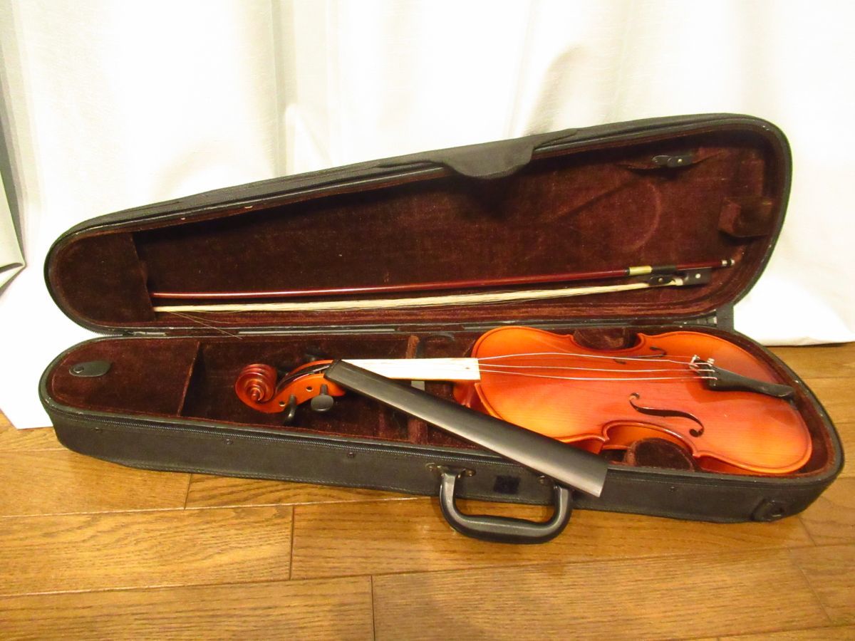 Violin Reghin Hora Romania Instruments Case HORA 4⁄4 0 1 Musical