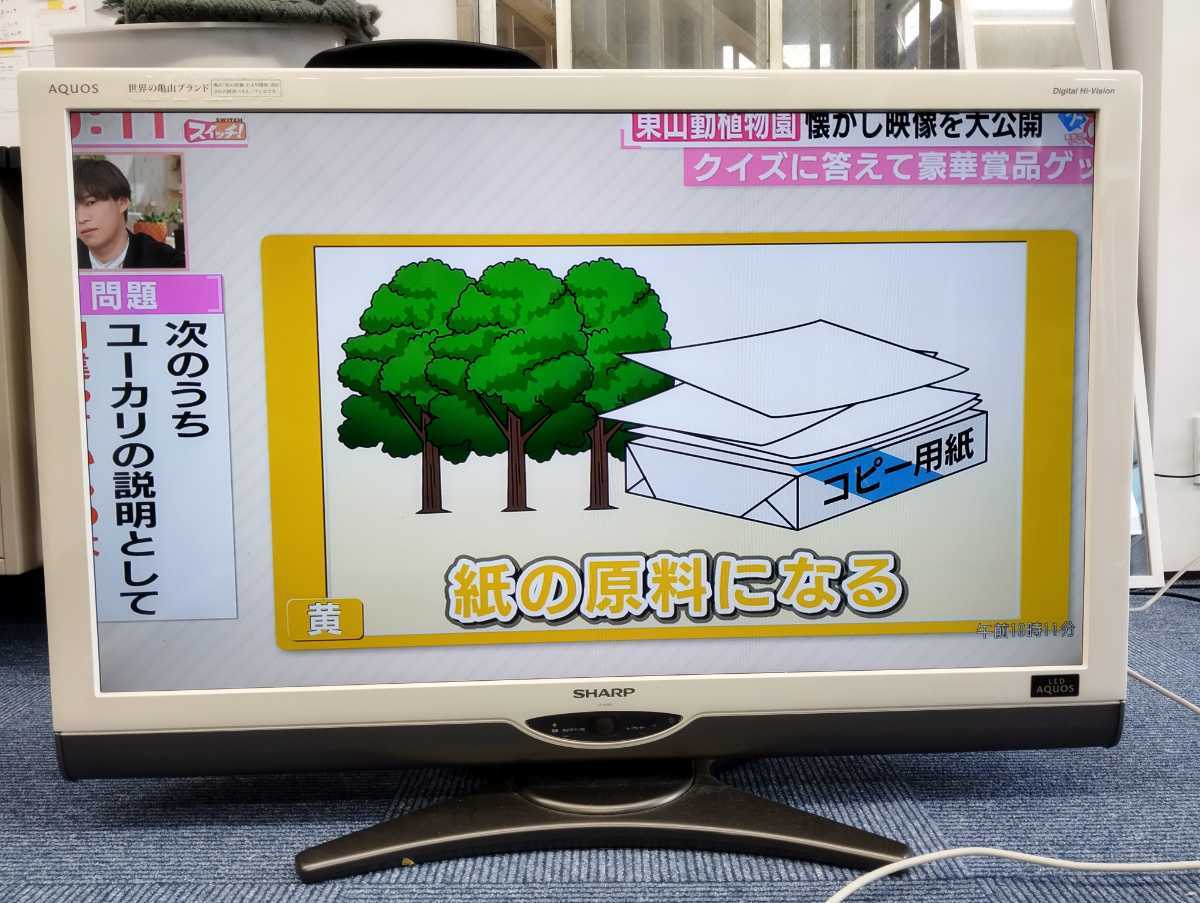 シャープ SHARP AQUOS 液晶テレビ アクオス | 4K アクオス液晶テレビ 