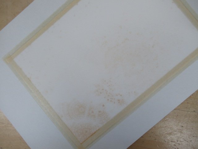堺幹夫 飽舟昇華 Yahoo!オークション - c◇K7980 印刷画「秘蔵画帖(二