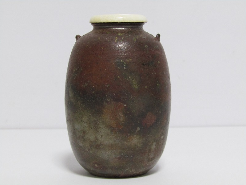 市野信水の通販 二代市野信水 ふしきのサポート Ichino) (Shinsui