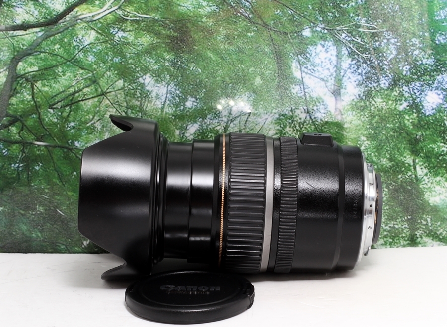 超音波モーター＆手ブレ補正⭐広角から中望遠レンズ⭐Canon17-85mm 超音波モーター＆手ブレ補正⭐広角から中望遠レンズ⭐Canon17-85mm