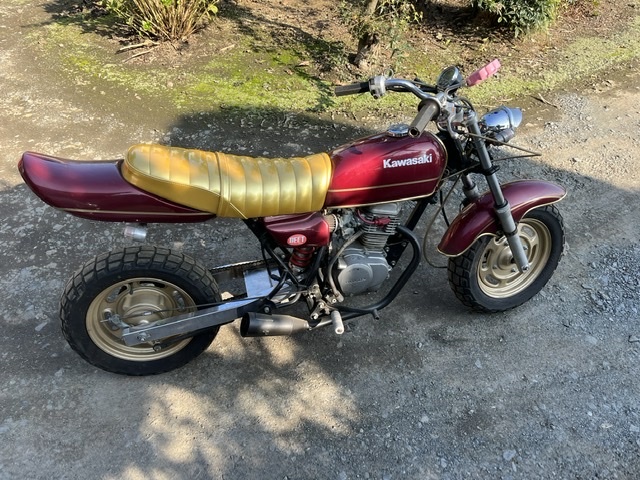 ホンダ エイプ ボアアップ エンジン実働 カスタム多数 FX仕様(51cc 