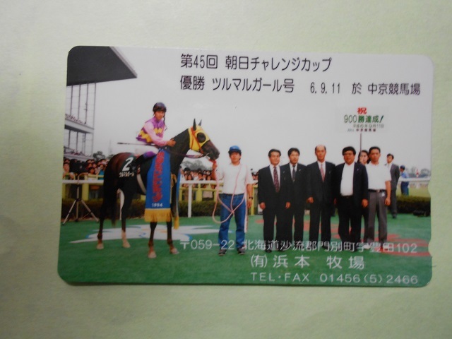【正規品，低価】 第45回朝日チャレンジカップ優勝馬ツルマルガール号 テレホンカード50度 浜本牧場作成(競馬)｜売買されたオークション情報、yahooの商品情報をアーカイブ公開 - オークファン 競馬