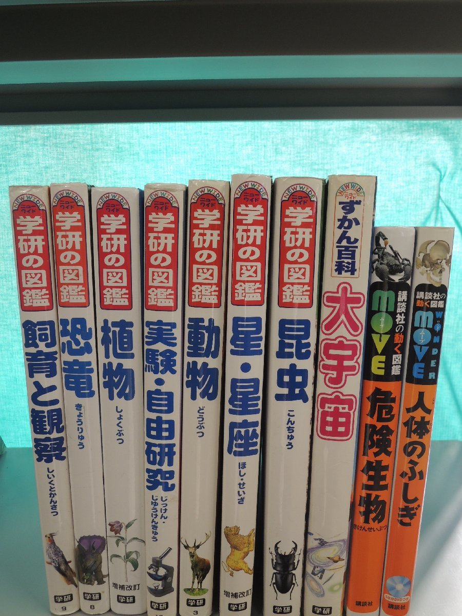 本 【付録4点付】小学館の図鑑NEO NEOぷらす NEOポケット 計13冊