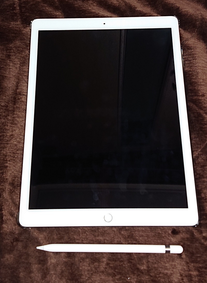  iPad Pro 12 9インチ 第２世代 512GB Wi-fi+Cellularモデル 品(iPad本体)｜売買されたオークション情報、yahooの商品情報をアーカイブ公開 - オークファン iPad本体