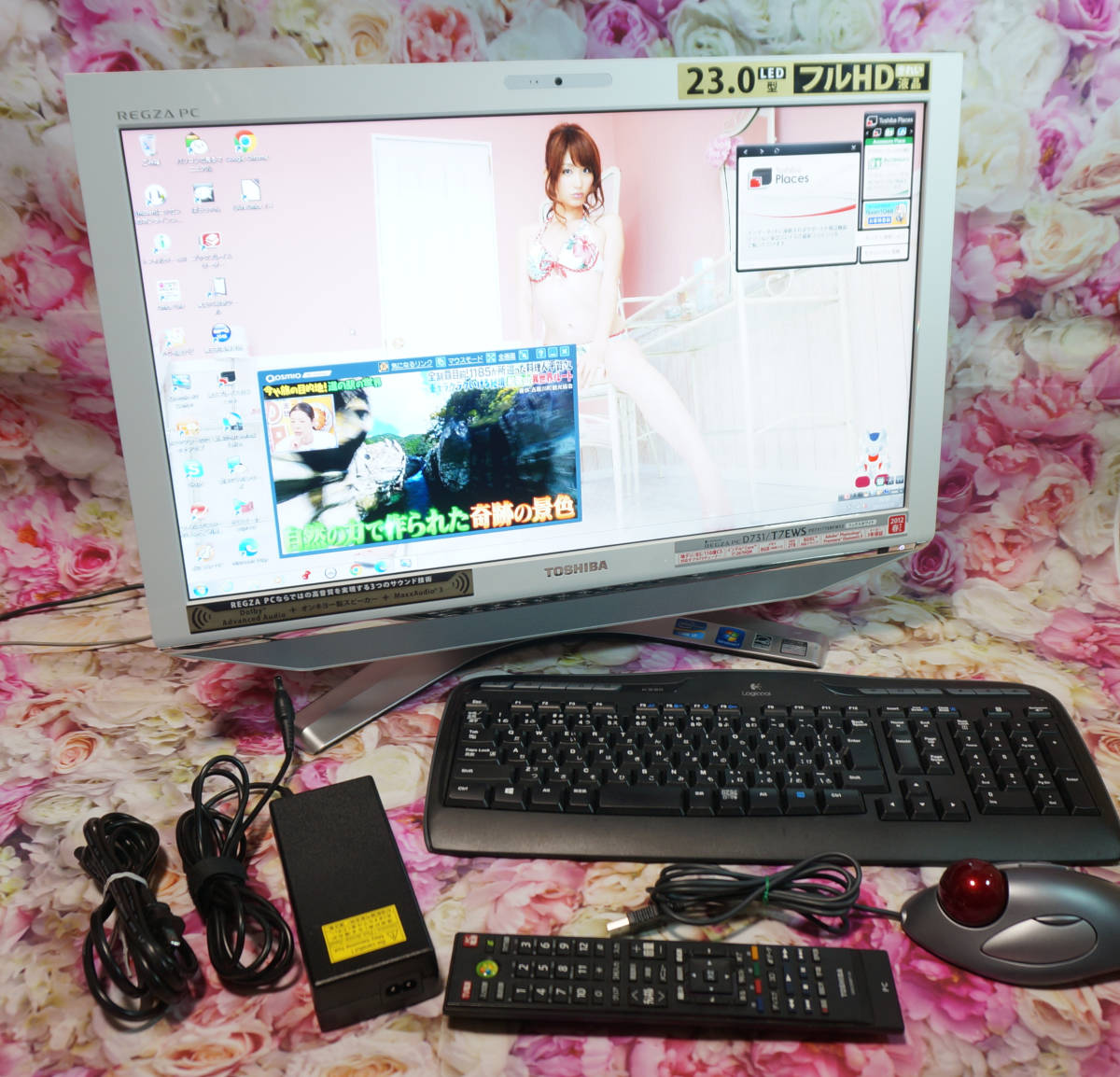 REGZA PC Windows7 テレビ見れます REGZAで撮った番組を別のTVや