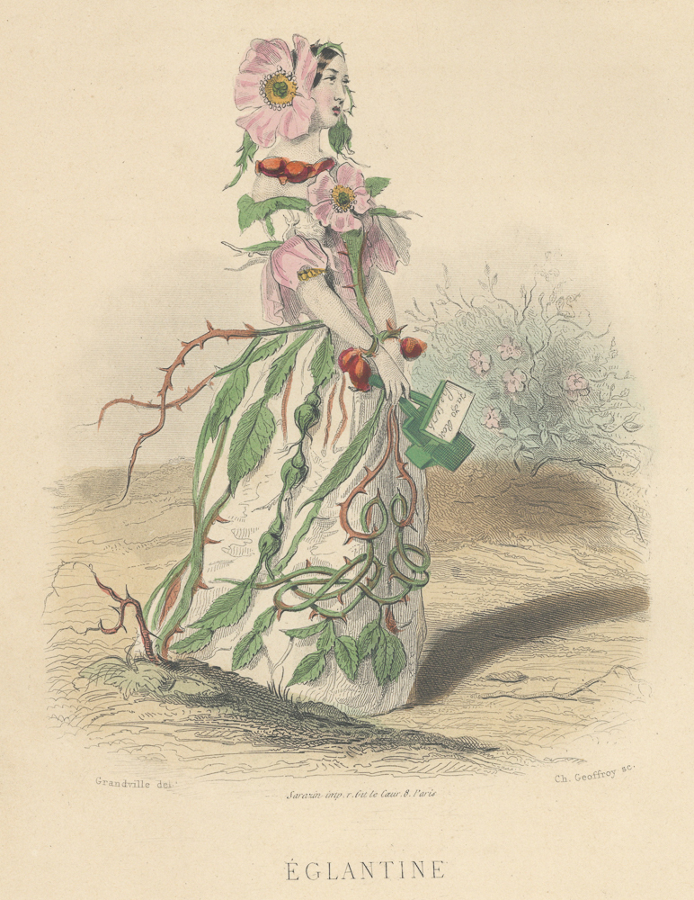 ☆J.J.グランヴィル GRANDVILLE 『フルール・アニメ・花の幻想』 アンティーク図版 ☆（05）
