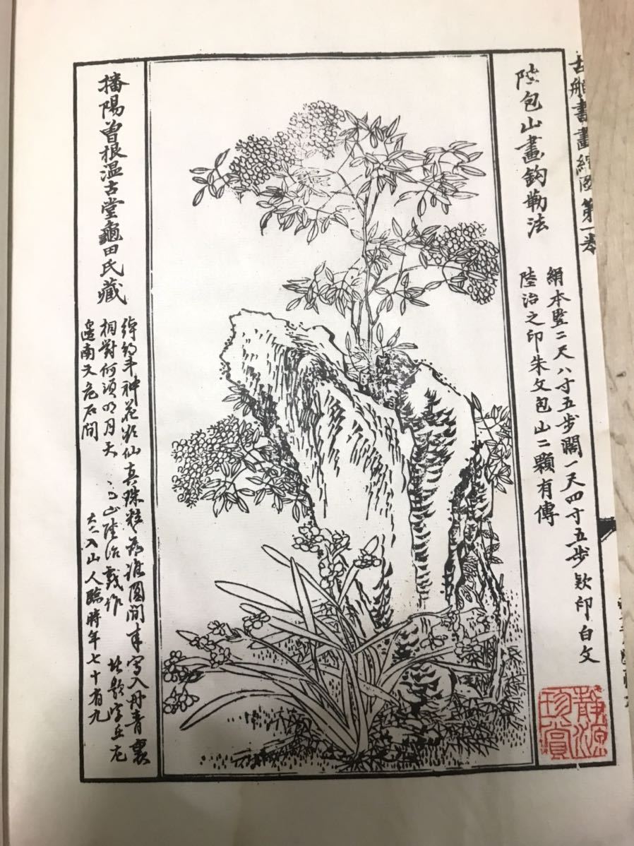 112997 中国 印有 額装 中国 0 「中国刺繍 花鳥画 色鮮やかな中国画、花鳥