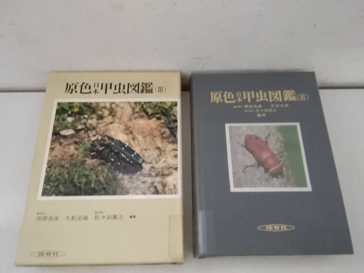 虫の写真図鑑 Cyber昆虫図鑑 分類