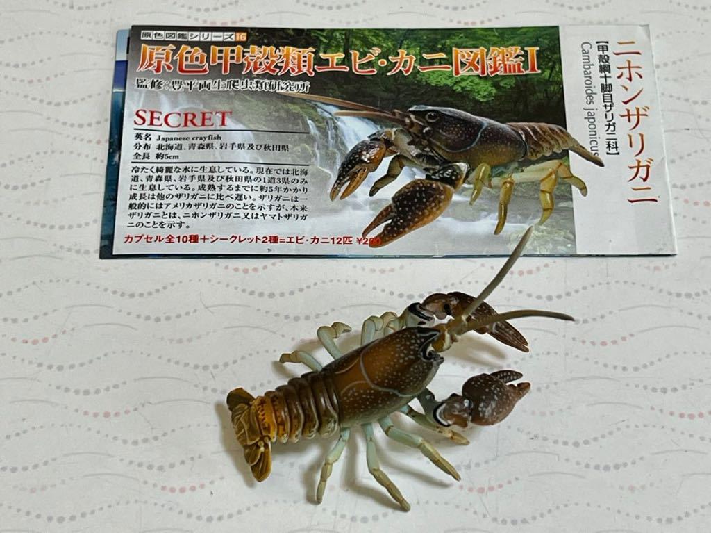 YUJIN 原色甲殻類エビ カニ図鑑I シークレット ニホンザリガニ(生き物)｜売買されたオークション情報、yahooの商品情報をアーカイブ ...