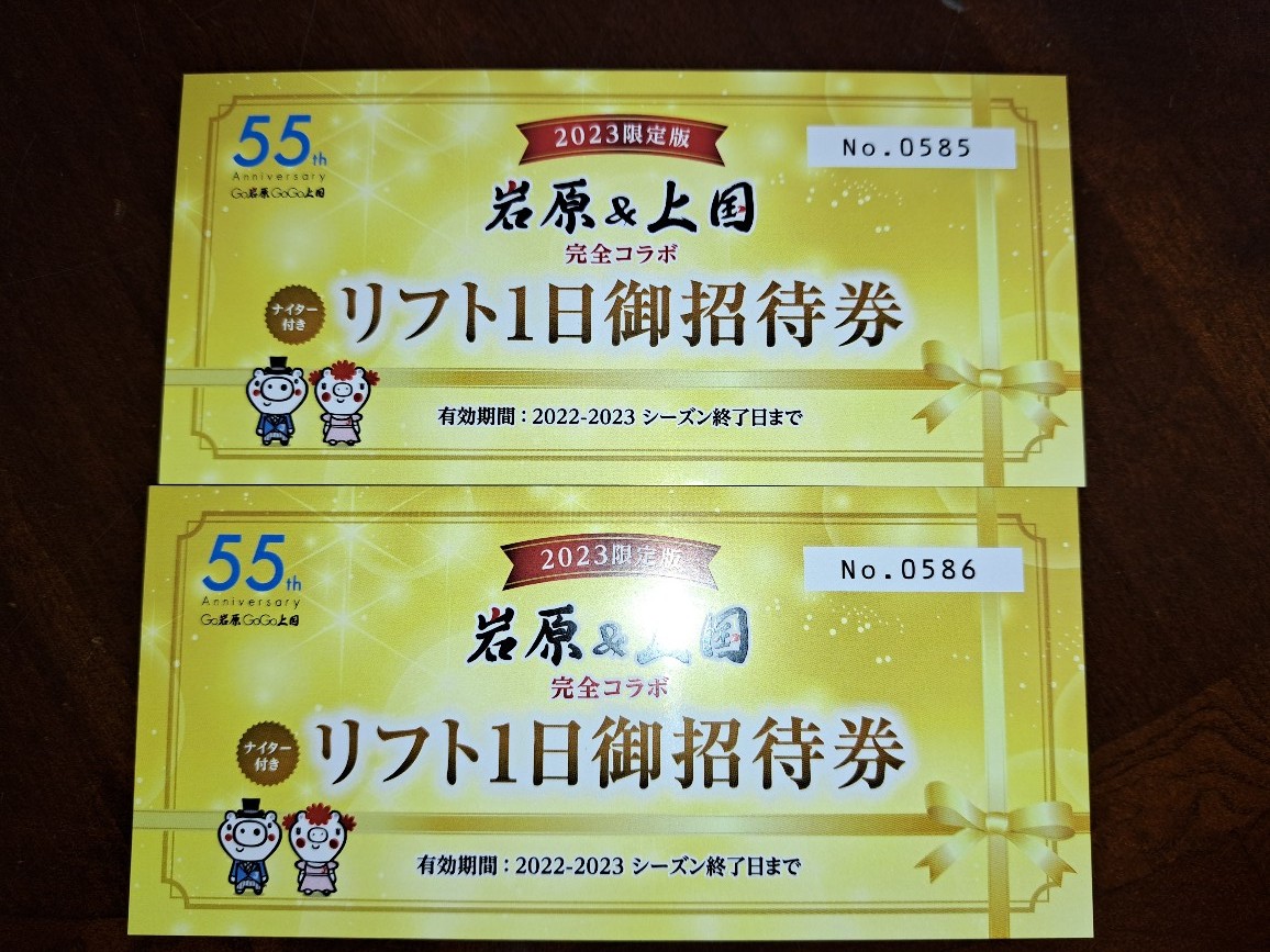 岩原スキー場、上越国際スキー場共通、リフト券引換券 6枚 公式通販