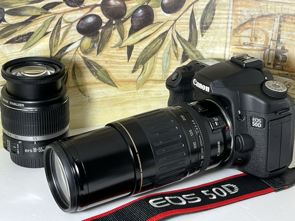 極上美品 キャノン Canon EOS 50D 300mm超望遠Wレンズ 使用感無い綺麗