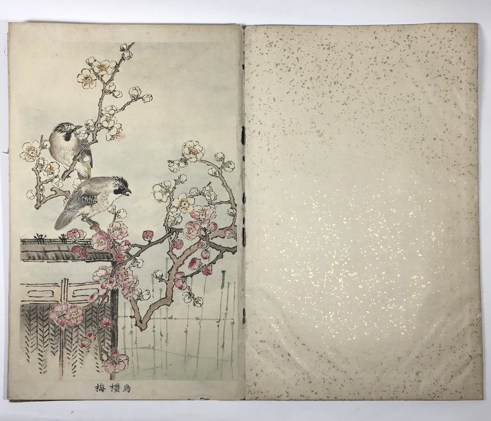 1061：梅嶺花鳥集 肉筆 彩色 梅嶺花鳥画譜の模写？ 20図
