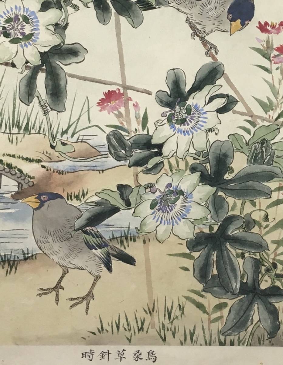 1061：梅嶺花鳥集 肉筆 彩色 梅嶺花鳥画譜の模写？ 20図