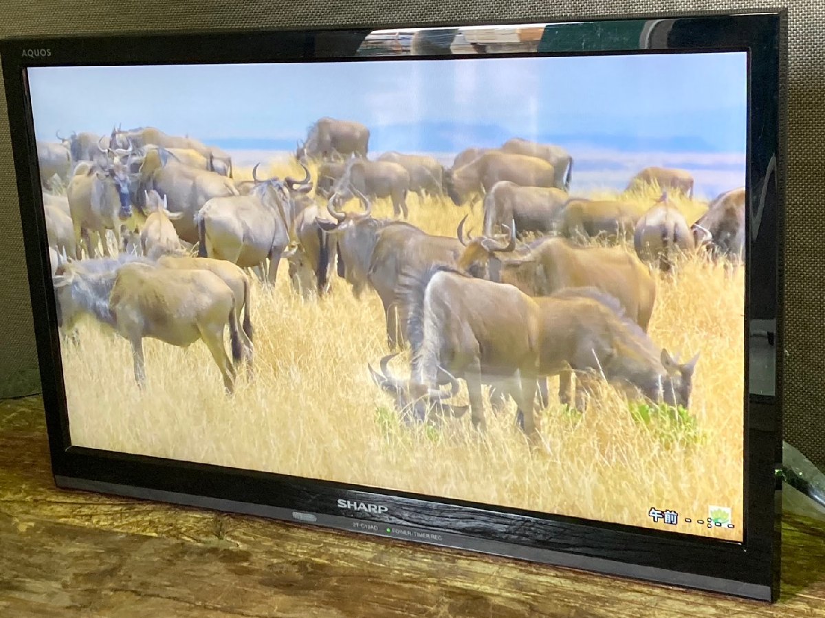 人気定番，HOT SHARP シャープ 液晶カラーテレビ 2T-C19AD 2019年製 訳あり品 121010(液晶)｜売買されたオークション情報、yahooの商品情報をアーカイブ公開 - オークファン 液晶