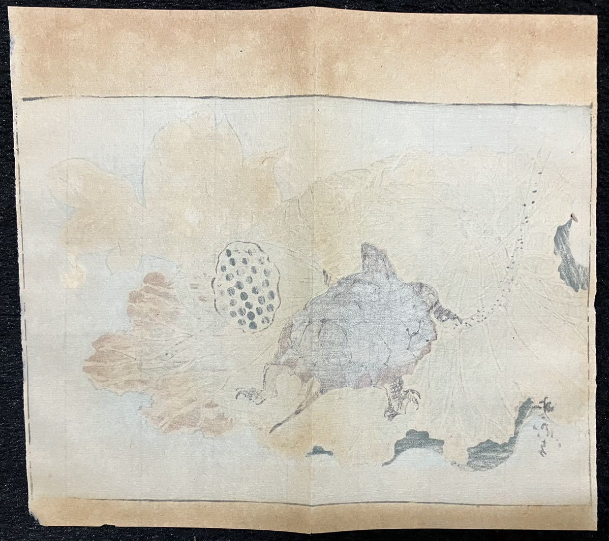 8.真作/本物 明治期 河鍋暁斎「暁斎書譜 河鍋洞郁図」亀 浮世絵 木版画 