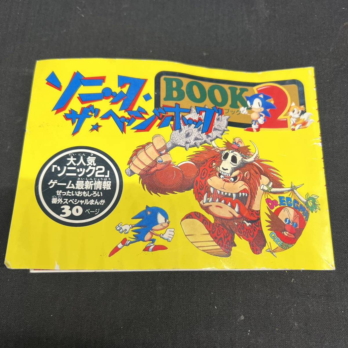 ソニック・ザ・ヘッジホッグ BOOK 2 小学二年生ふろく 〇Ca右22〇60 ソニック ザ ヘッジホッグ ブック2 ソニック2 番外