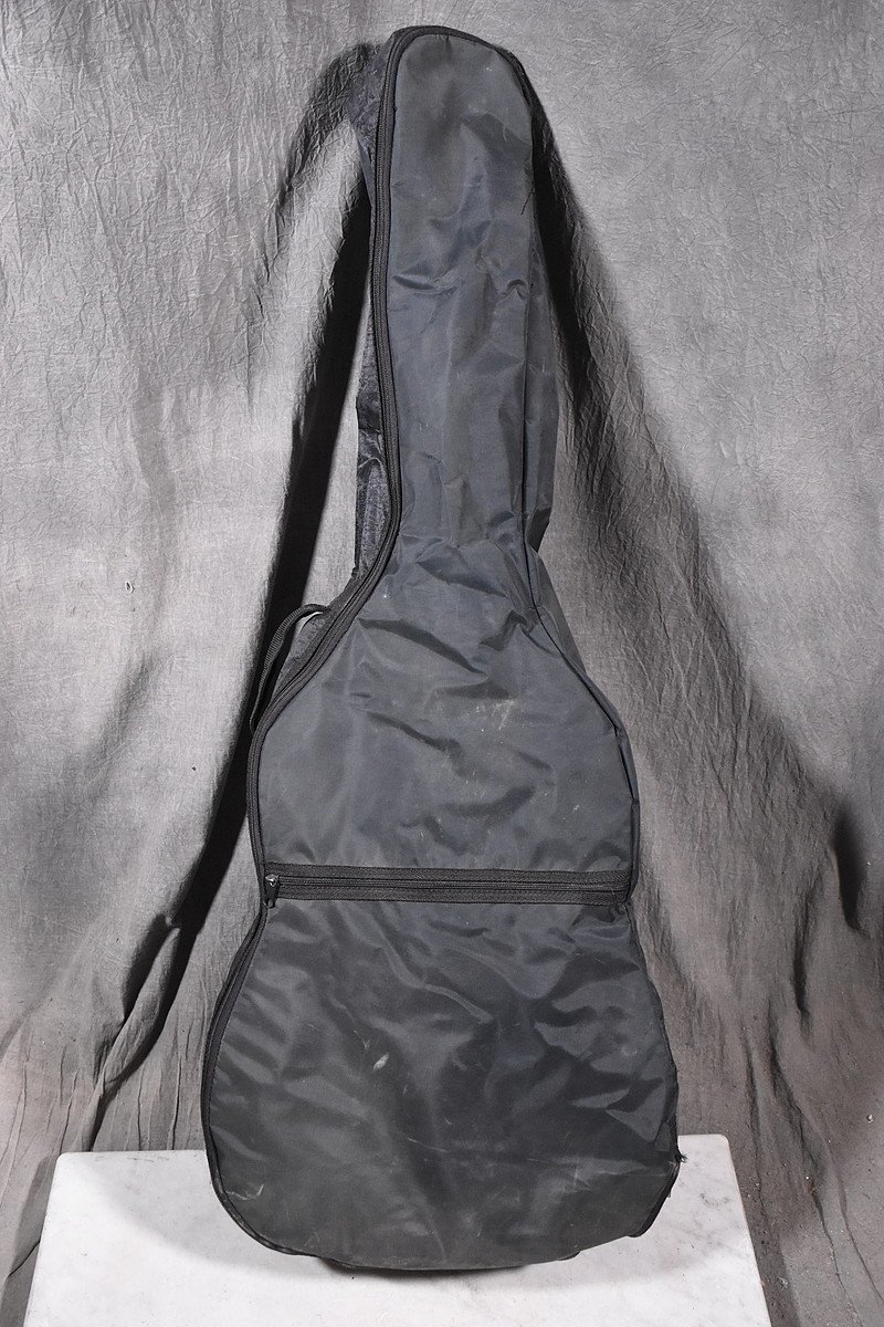 Morris/モーリス アコースティックギター MF-301 TS Morris