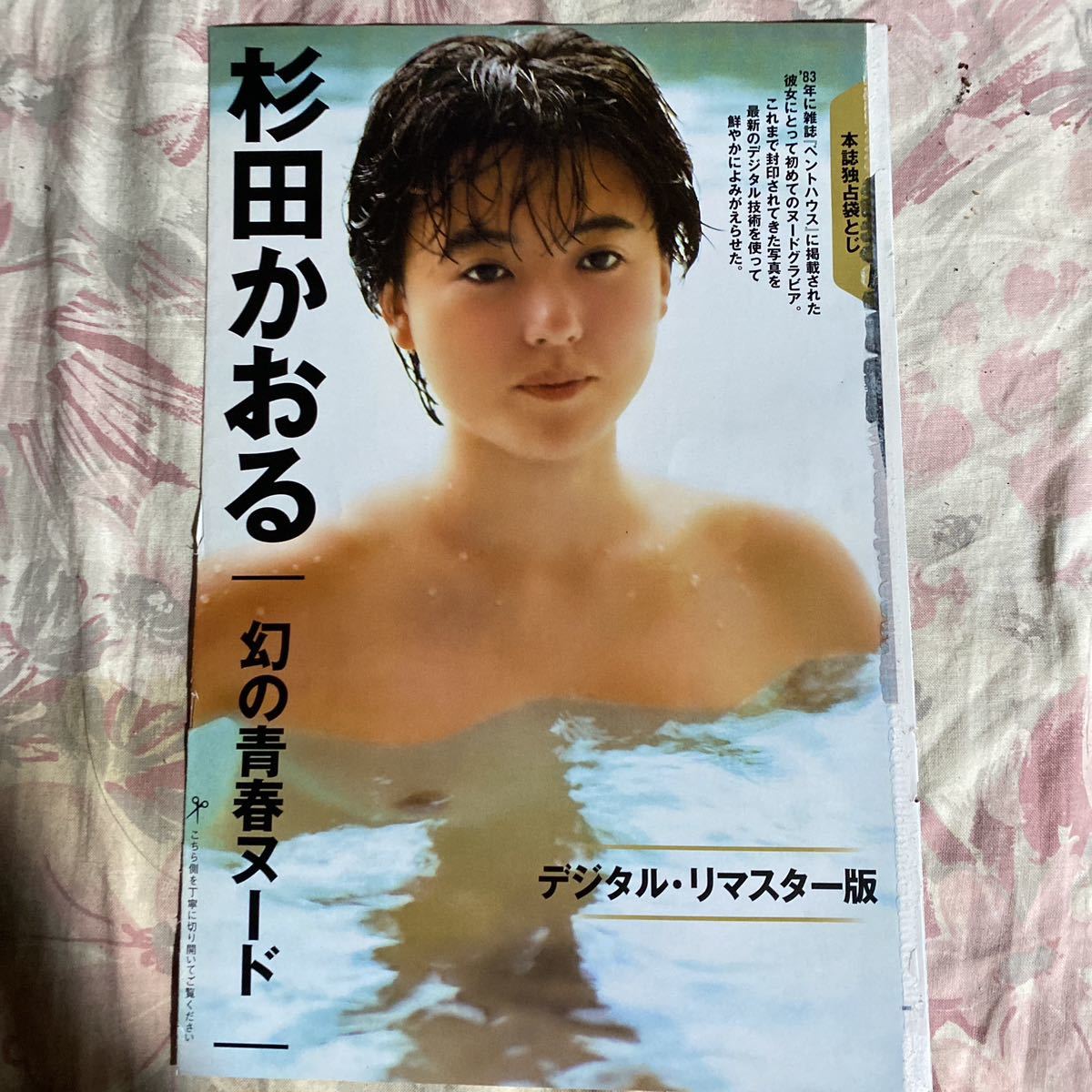 杉田かおる 幻の青春ヌード 袋とじ の入札履歴 - すべての入札履歴