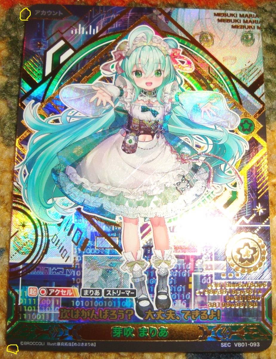 Vividz ビビッヅ まりあ アカウント SEC シークレット ゼクス 藤真拓哉 
