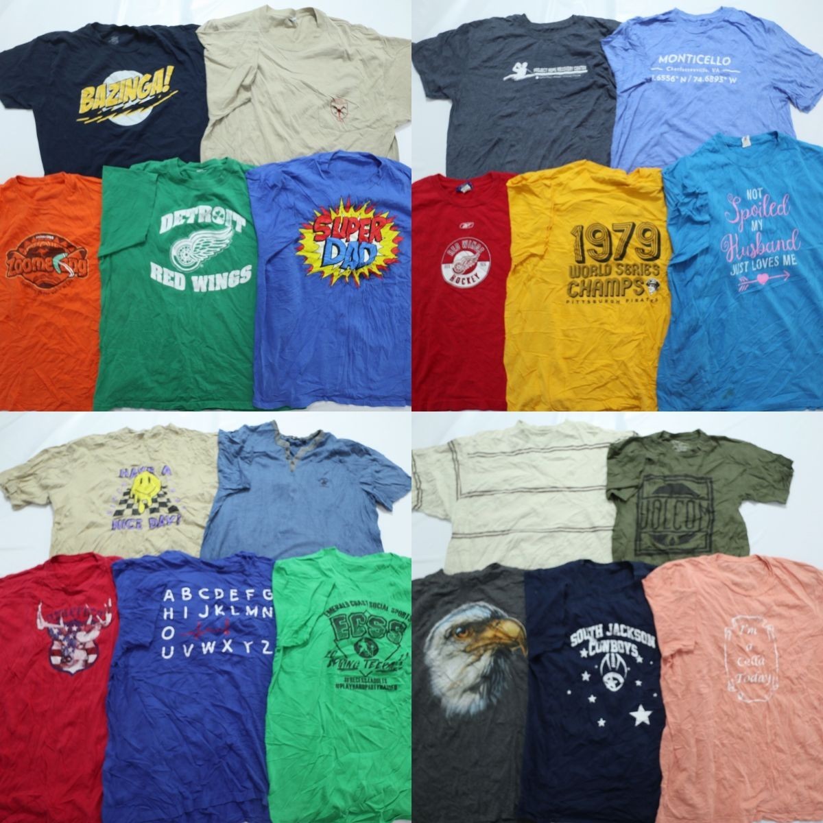 ◎カラーTシャツ MIX set アニマル プロチーム ボーダー 他 (メンズサイズ不明) 20枚セット まとめ売 古着 1円スタート 最落なし ML3581