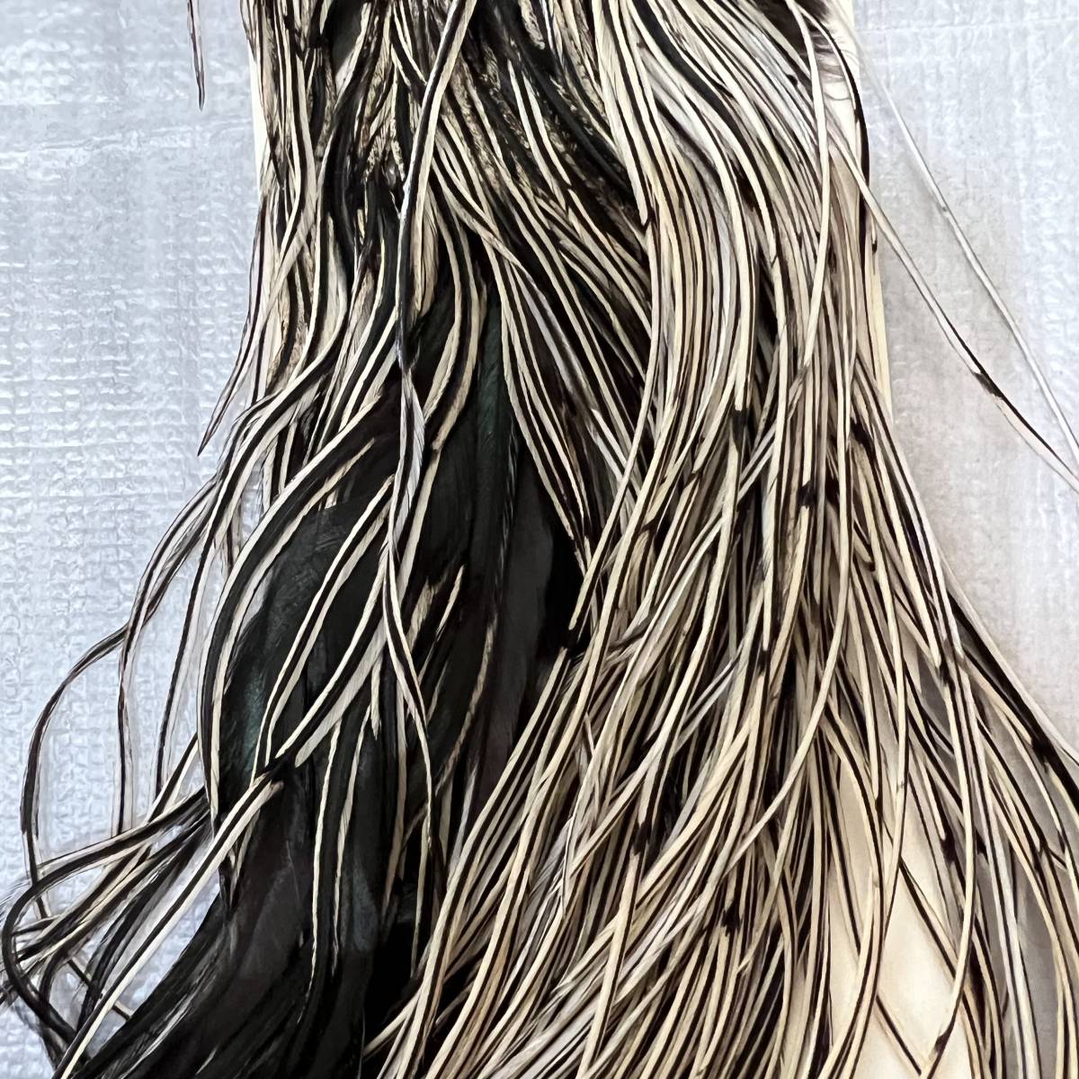 ホワイティング　ハックル　ブロンズ1/2 サドル　シルバーバジャー_2