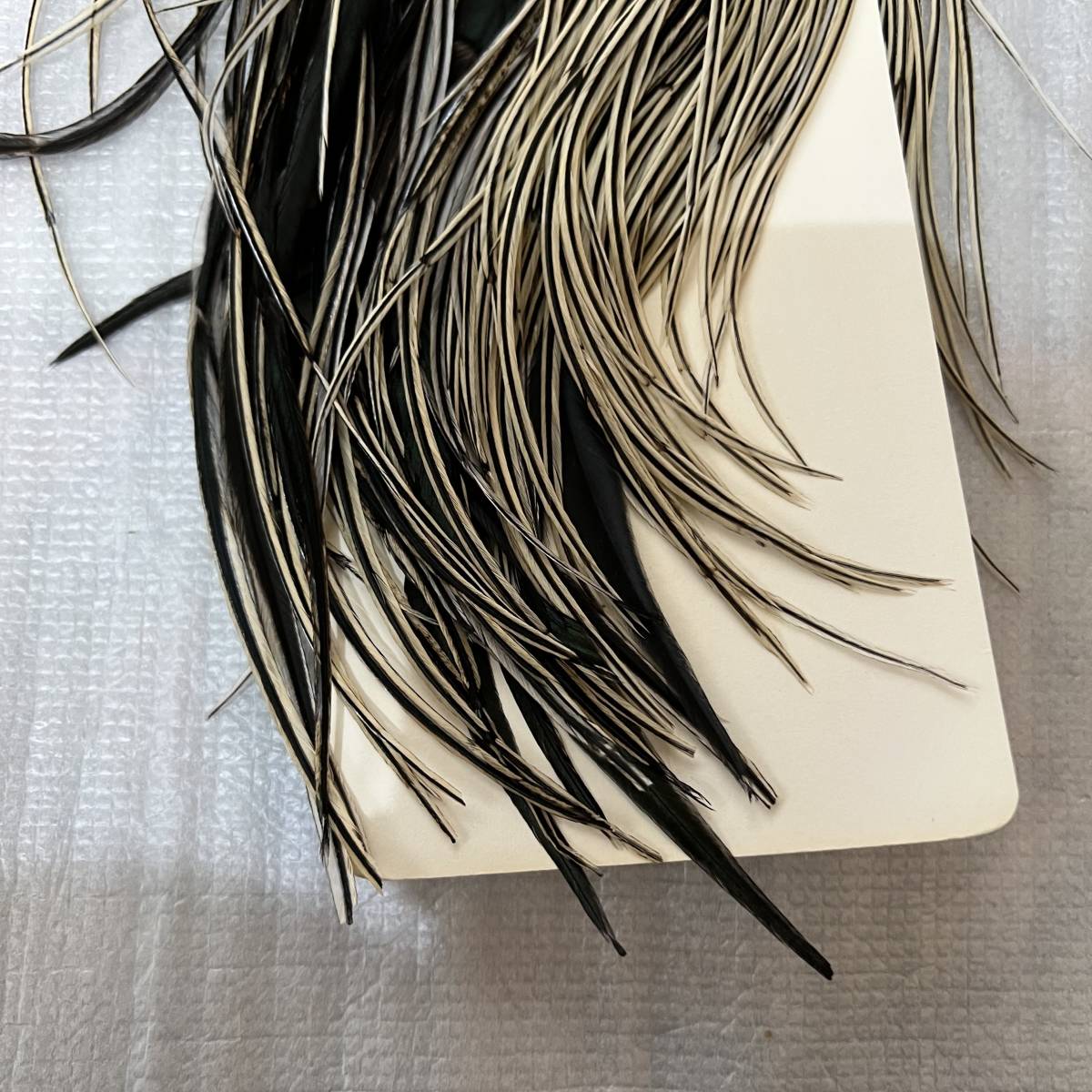 ホワイティング　ハックル　ブロンズ1/2 サドル　シルバーバジャー_4