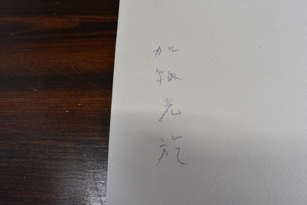 加納光於版画集「塩の柱、あるいは舞踏衣装のためのCODEX block notes