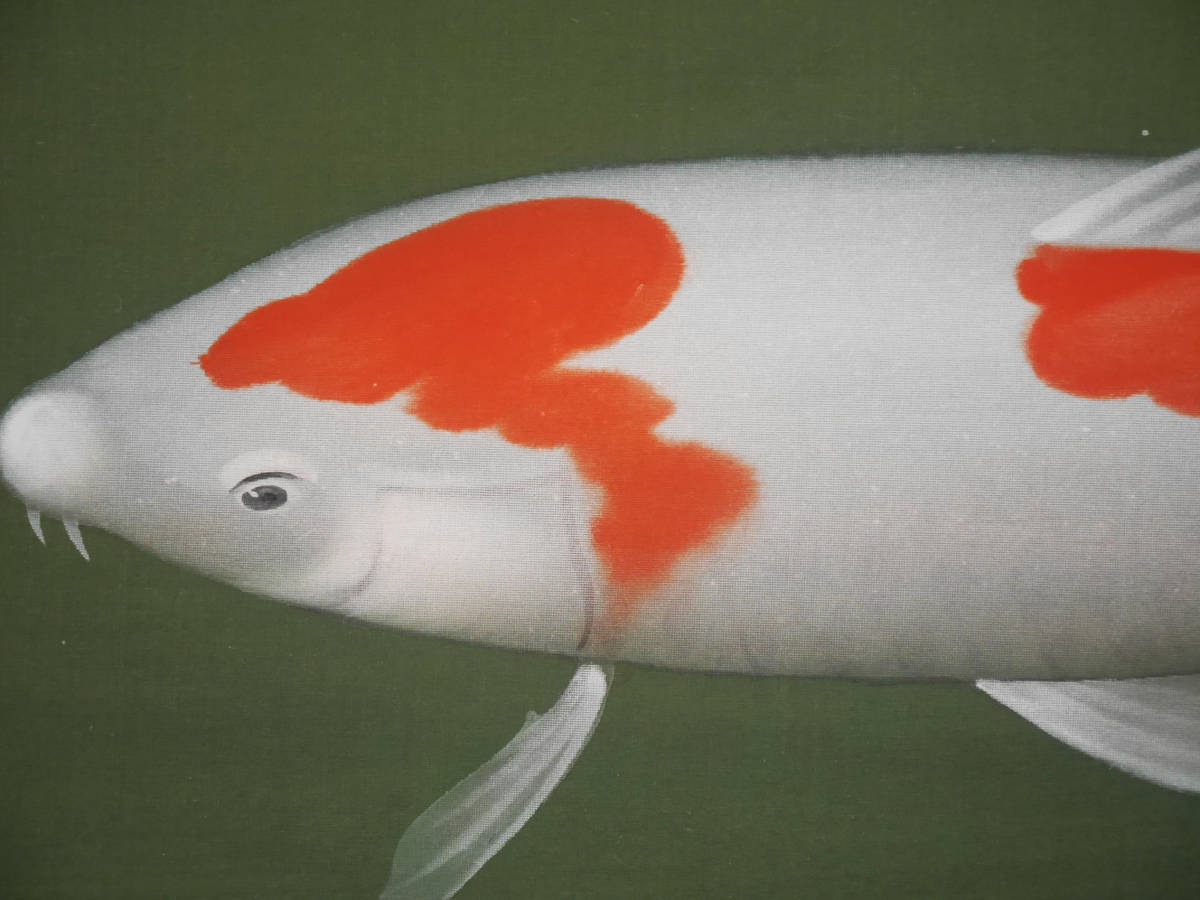 吉井英二【川魚図】絹本 共箱付 肉筆真作 / 掛軸 掛け軸 / にしき鯉