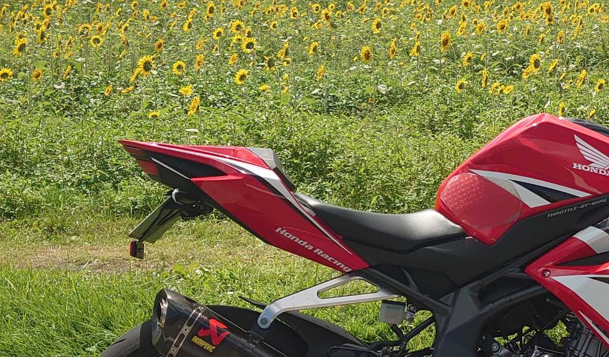 CBR250RR シングルシートカウル | バイク MC22 GZYF 赤 cbr250rr