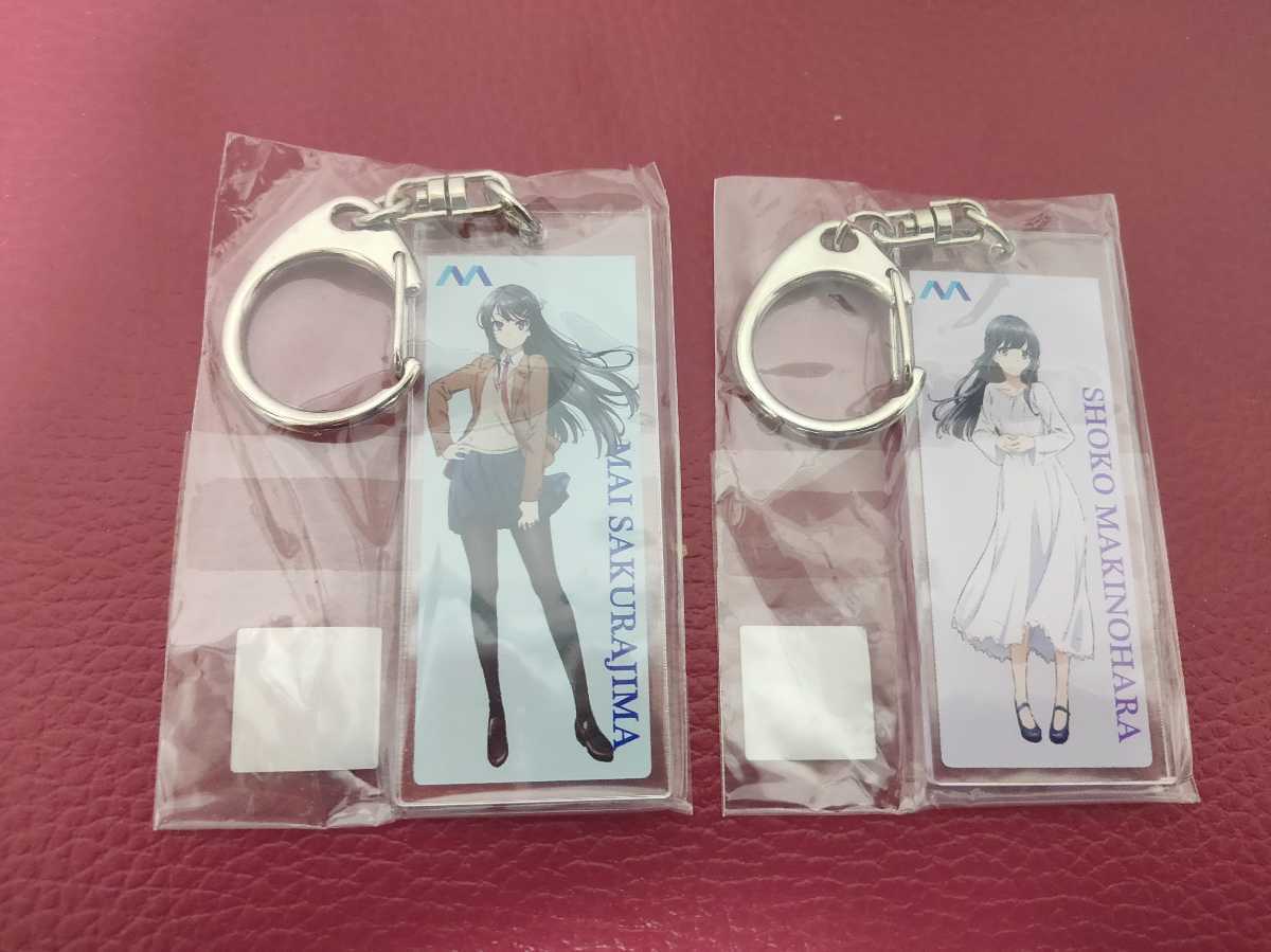 KADOKAWA 青春ブタ野郎はバニーガール先輩の夢を見ない 青ブタ 湘南 