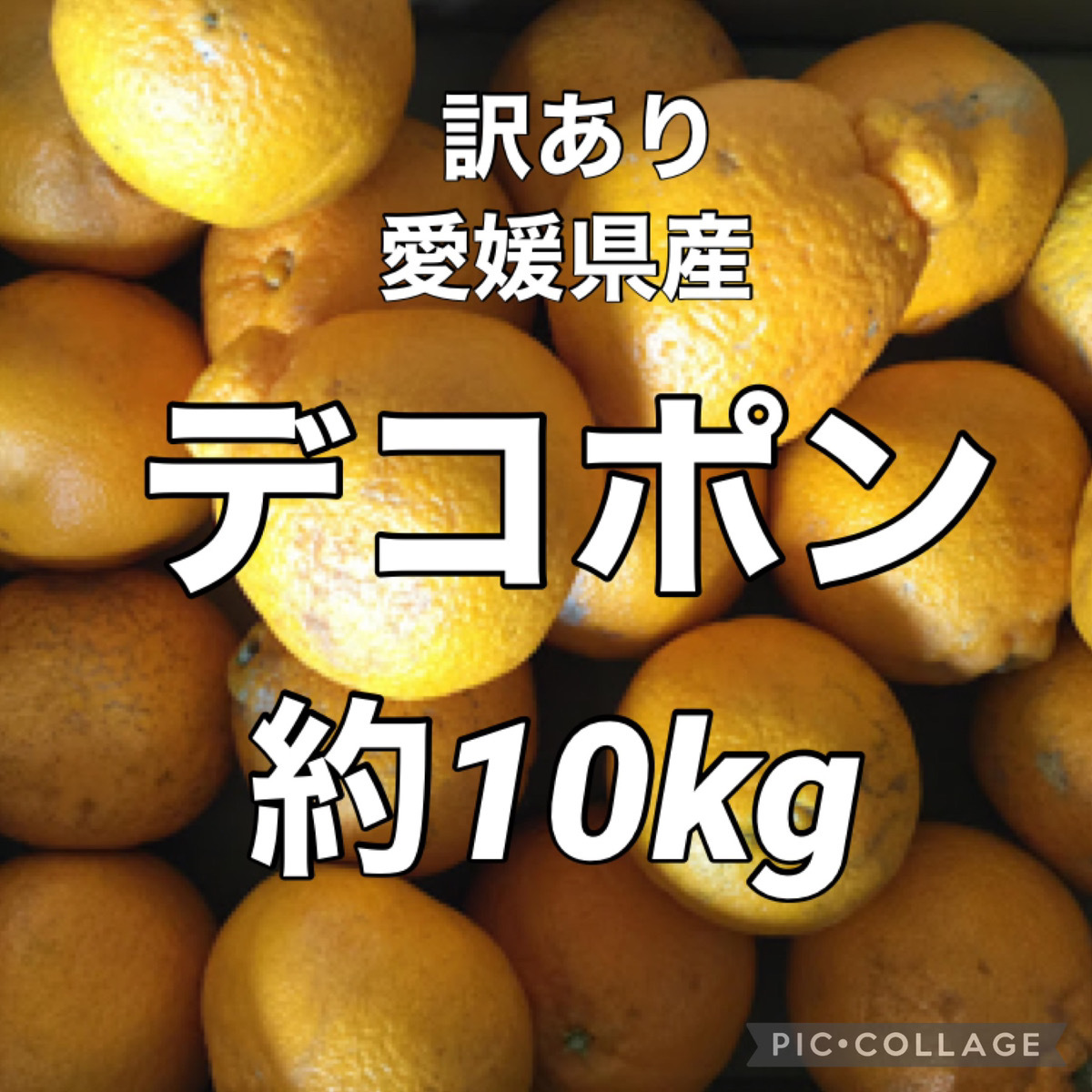 訳あり 柑橘 デコポン みかん 家庭用約10kg 地域限定配送 商品説明お読み