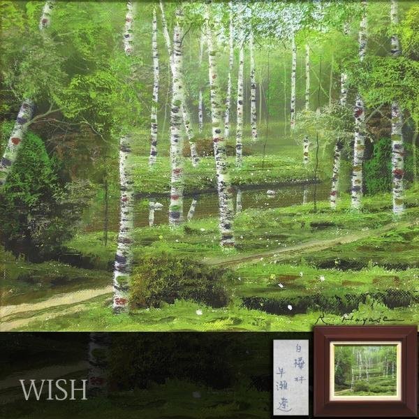 真作】【WISH】早瀬遼「白樺林」油彩 3号 ◇緑美しい林・美景 〇應美会